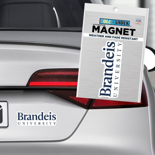 Brandeis University 4 x 4 Magnet
