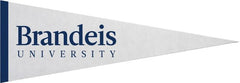 Brandeis University 5x15 Pennant